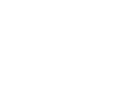 Evolution games at Vegas Nights Casino